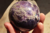 Polished Lepidolite Spheres x 3 From Madagascar - Toprock Gemstones and Minerals 