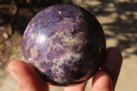 Polished Lepidolite Spheres x 3 From Madagascar - Toprock Gemstones and Minerals 