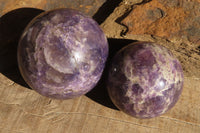 Polished Lepidolite Spheres x 3 From Madagascar - Toprock Gemstones and Minerals 