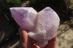 Polished Jacaranda Amethyst Crystals x 4 From Mumbwa, Zambia - Toprock Gemstones and Minerals 