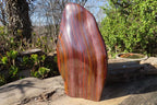 Polished XXL Banded Tiger Iron Jasper Display Piece x 1 From South Africa - Toprock Gemstones and Minerals 