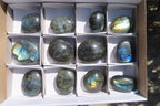 Polished Labradorite Galet / Palm Stones x 12 From Tulear, Madagascar - Toprock Gemstones and Minerals 