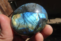 Polished Labradorite Galet / Palm Stones x 12 From Tulear, Madagascar - Toprock Gemstones and Minerals 