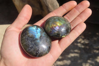 Polished Labradorite Galet / Palm Stones x 12 From Tulear, Madagascar - Toprock Gemstones and Minerals 