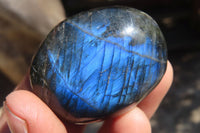 Polished Labradorite Galet / Palm Stones x 12 From Tulear, Madagascar - Toprock Gemstones and Minerals 
