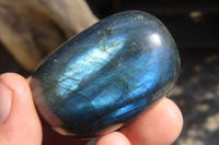 Polished Labradorite Galet / Palm Stones x 12 From Tulear, Madagascar - Toprock Gemstones and Minerals 