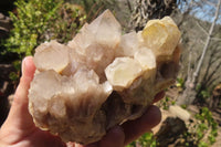 Natural Smokey Quartz Clusters x 2 From Luena, Congo - Toprock Gemstones and Minerals 
