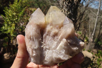 Natural Smokey Quartz Clusters x 2 From Luena, Congo - Toprock Gemstones and Minerals 
