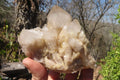 Natural Smokey Quartz Clusters x 2 From Luena, Congo - Toprock Gemstones and Minerals 