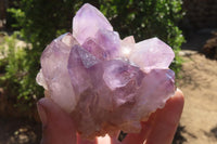 Natural Jacaranda Amethyst Clusters x 2 From Mumbwa, Zambia
