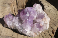 Natural Jacaranda Amethyst Clusters x 2 From Mumbwa, Zambia
