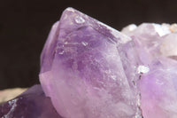 Natural Jacaranda Amethyst Clusters x 2 From Mumbwa, Zambia