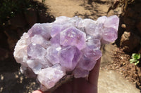 Natural Jacaranda Amethyst Clusters x 2 From Mumbwa, Zambia