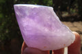 Polished Jacaranda Amethyst Crystals x 12 From Mumbwa, Zambia - Toprock Gemstones and Minerals 