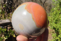 Polished Polychrome Jasper Spheres x 2 From Mahajanga, Madagascar - Toprock Gemstones and Minerals 