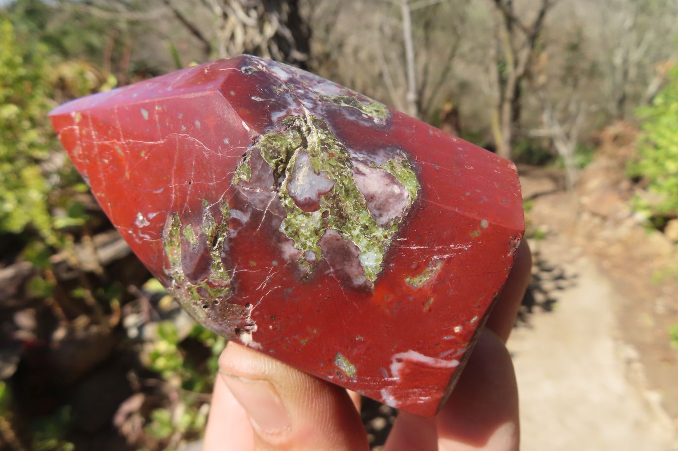 Polished Selection Of Retail Items x 6 From South Africa - Toprock Gemstones and Minerals 