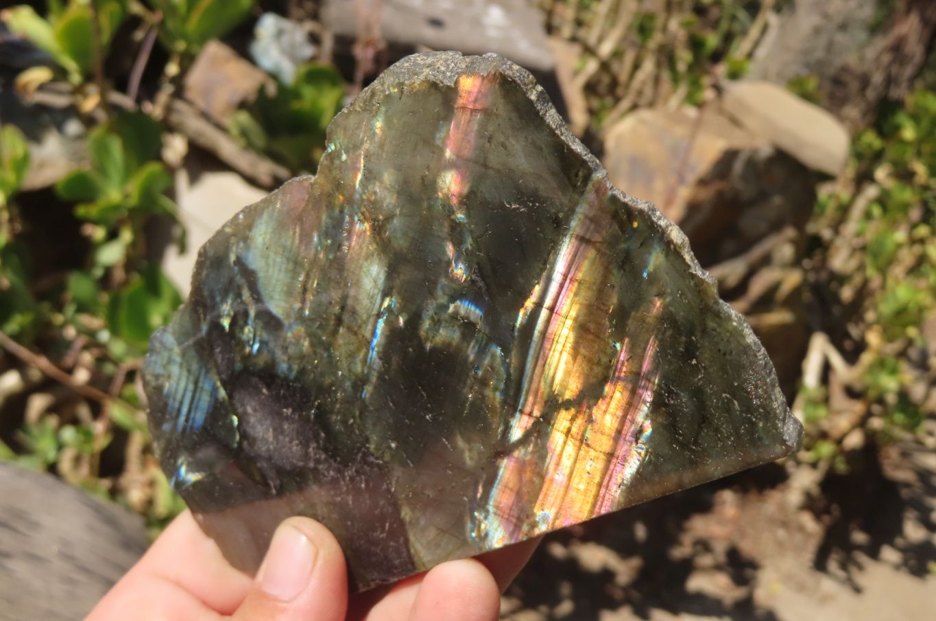 Polished Selection Of Retail Items x 6 From South Africa - Toprock Gemstones and Minerals 