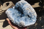 Natural Celestite Cluster x 1 From Sakoany, Madagascar - Toprock Gemstones and Minerals 