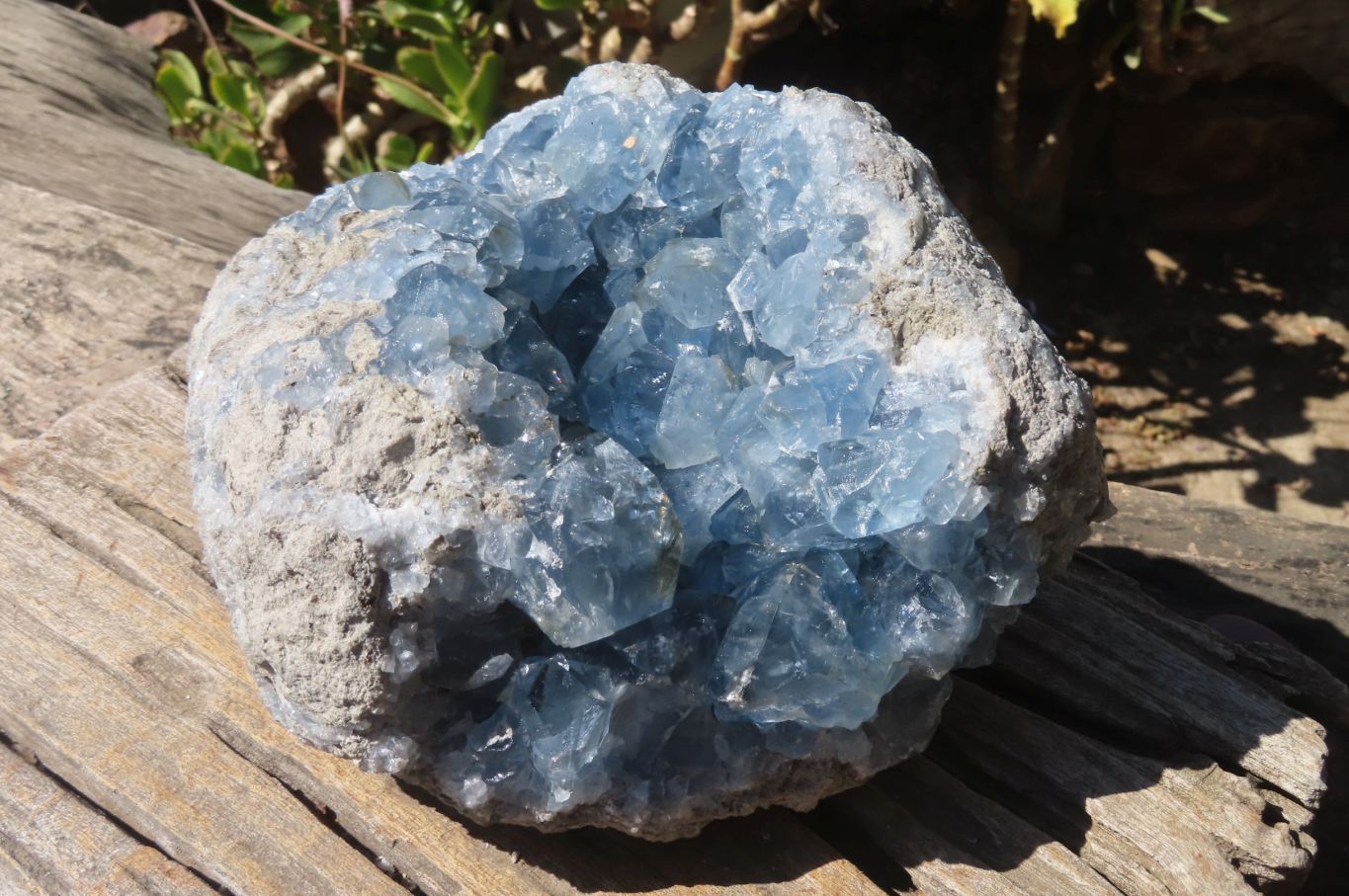 Natural Celestite Cluster x 1 From Sakoany, Madagascar - Toprock Gemstones and Minerals 