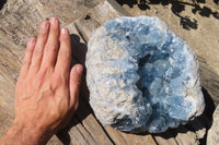 Natural Celestite Cluster x 1 From Sakoany, Madagascar - Toprock Gemstones and Minerals 