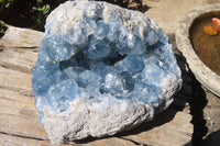 Natural Celestite Cluster x 1 From Sakoany, Madagascar - Toprock Gemstones and Minerals 