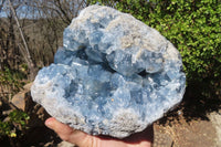 Natural Celestite Cluster x 1 From Sakoany, Madagascar - Toprock Gemstones and Minerals 