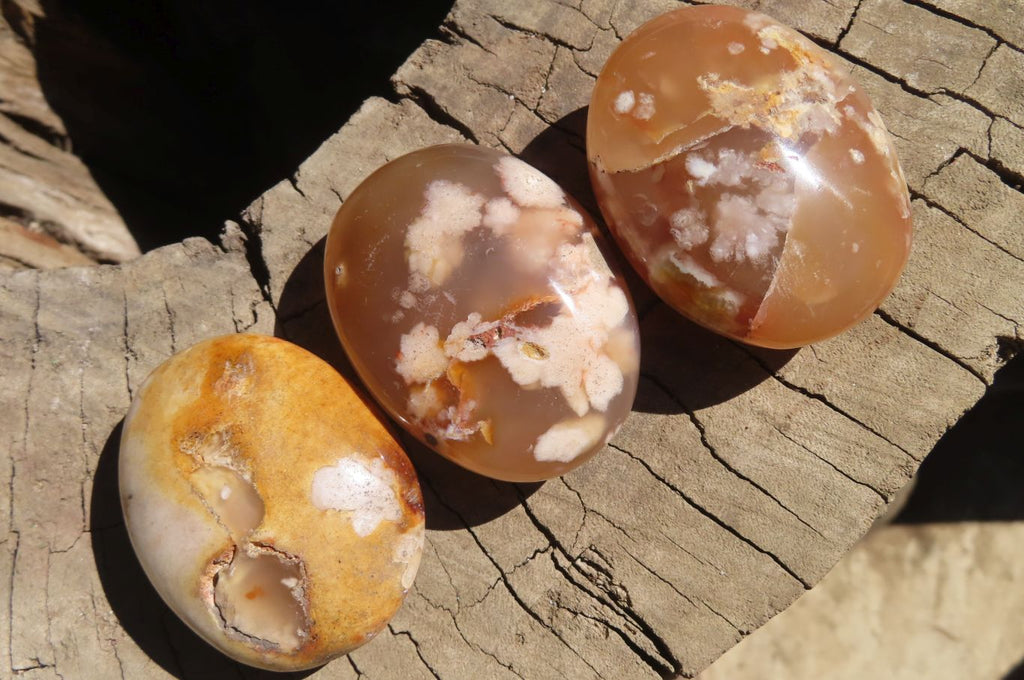 Polished Ocean Flower Agate Galet / Palm Stones x 12 From Antsahalova, Madagascar - Toprock Gemstones and Minerals 