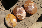 Polished Ocean Flower Agate Galet / Palm Stones x 12 From Antsahalova, Madagascar - Toprock Gemstones and Minerals 
