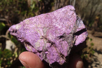 Natural Metallic Purpurite Cobbed Specimens x 6 From Erongo, Namibia - Toprock Gemstones and Minerals 