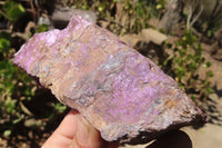 Natural Metallic Purpurite Cobbed Specimens x 6 From Erongo, Namibia - Toprock Gemstones and Minerals 
