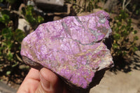 Natural Metallic Purpurite Cobbed Specimens x 6 From Erongo, Namibia - Toprock Gemstones and Minerals 