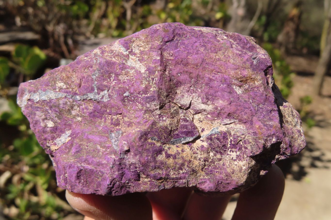 Natural Metallic Purpurite Cobbed Specimens x 6 From Erongo, Namibia - Toprock Gemstones and Minerals 