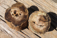 Polished Petrified Wood Branch Pieces x 3 From Gokwe, Zimbabwe - Toprock Gemstones and Minerals 