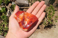 Polished Carnelian Standing Free Forms x 5 From Madagascar - Toprock Gemstones and Minerals 