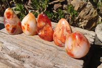 Polished Carnelian Standing Free Forms x 5 From Madagascar - Toprock Gemstones and Minerals 
