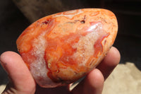 Polished Carnelian Standing Free Forms x 5 From Madagascar - Toprock Gemstones and Minerals 