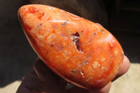 Polished Carnelian Standing Free Forms x 5 From Madagascar - Toprock Gemstones and Minerals 