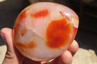 Polished Carnelian Standing Free Forms x 5 From Madagascar - Toprock Gemstones and Minerals 