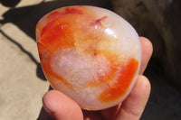 Polished Carnelian Standing Free Forms x 5 From Madagascar - Toprock Gemstones and Minerals 