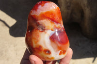 Polished Carnelian Standing Free Forms x 5 From Madagascar - Toprock Gemstones and Minerals 