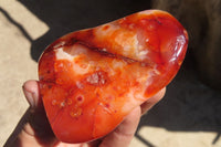 Polished Carnelian Standing Free Forms x 5 From Madagascar - Toprock Gemstones and Minerals 