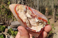 Polished Carnelian Standing Free Forms x 5 From Madagascar - Toprock Gemstones and Minerals 