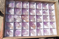 Natural Jacaranda Amethyst Crystals x 35 From Mumbwa, Zambia