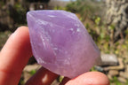 Natural Jacaranda Amethyst Crystals x 35 From Mumbwa, Zambia - Toprock Gemstones and Minerals 