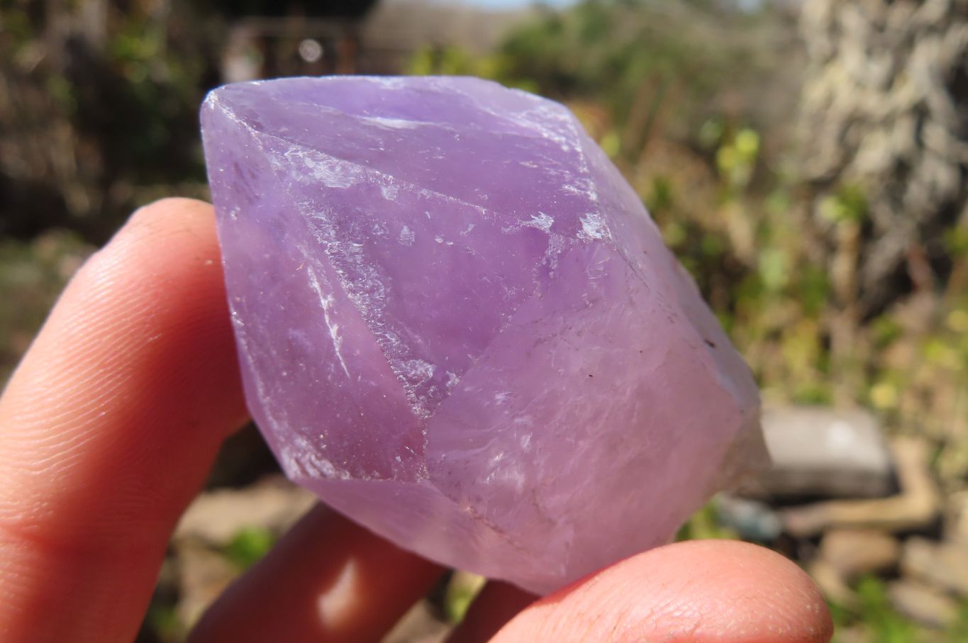 Natural Jacaranda Amethyst Crystals x 35 From Mumbwa, Zambia - Toprock Gemstones and Minerals 