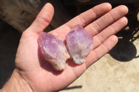 Natural Jacaranda Amethyst Crystals x 35 From Mumbwa, Zambia