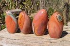 Polished Polychrome Jasper Standing Free Forms x 4 From Mahajanga, Madagascar - Toprock Gemstones and Minerals 