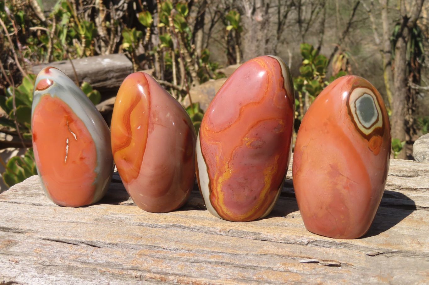 Polished Polychrome Jasper Standing Free Forms x 4 From Mahajanga, Madagascar - Toprock Gemstones and Minerals 