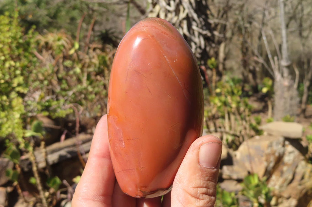 Polished Polychrome Jasper Standing Free Forms x 4 From Mahajanga, Madagascar - Toprock Gemstones and Minerals 