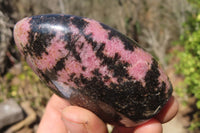 Polished Rhodonite Standing Free Forms x 6 From Madagascar - Toprock Gemstones and Minerals 